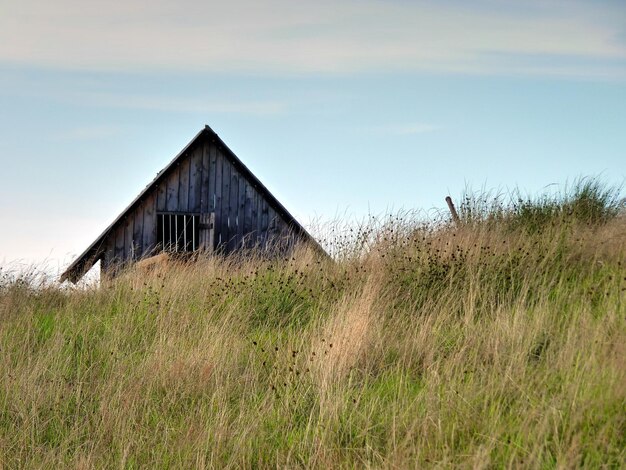 Foto verlaten huis op het grasveld.