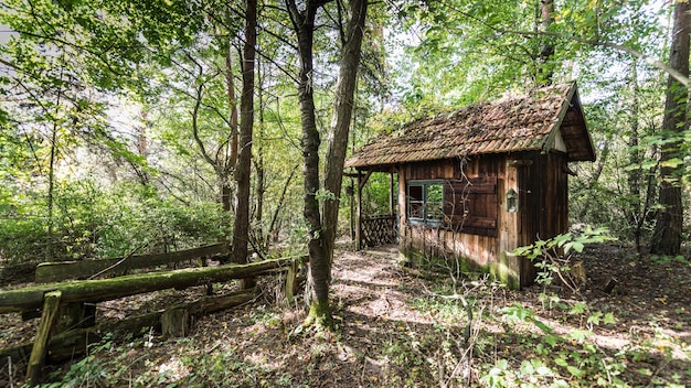Verlaten huis te midden van bomen in het bos.