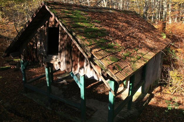 Foto verlaten hut.