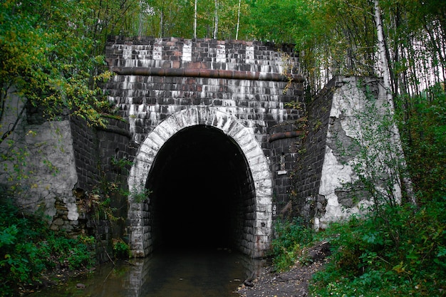 Verlaten oude militaire tunnel in het bos.