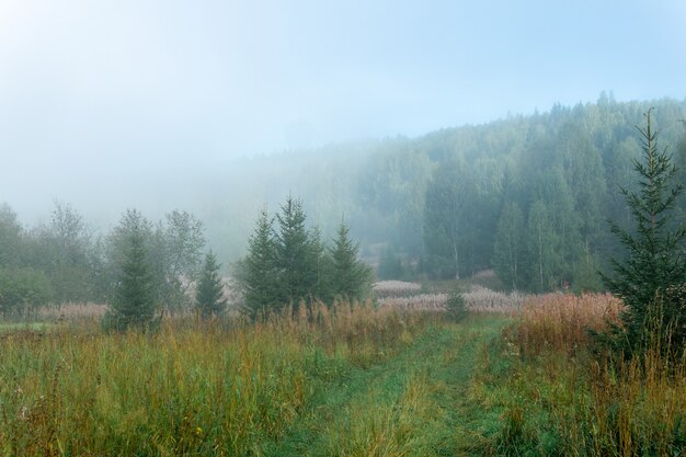 Verlaten overwoekerd veld met herfstgras in de ochtendnevel