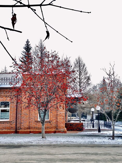 Verlaten rode bakstenen gebouw met bomen en sneeuw in de winter