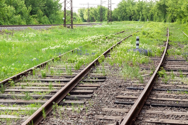 Verlaten spoorlijnen met rond planten en groene bomen