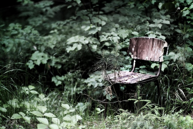 Foto verlaten stoel in het veld