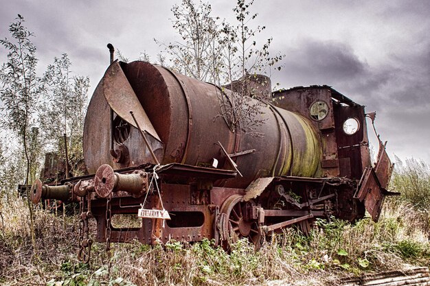 Foto verlaten trein op een veld in het bos