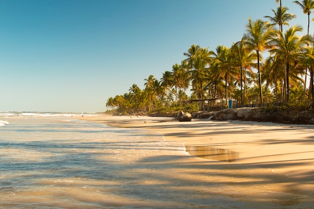 Verlaten tropisch strand met kokospalmen bij zonsondergang.