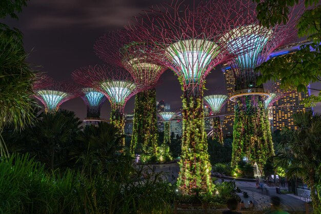 Foto verlichte bomen 's nachts