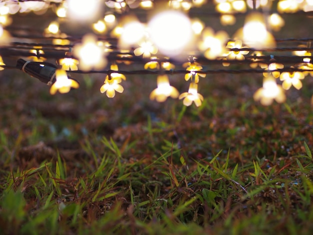 Foto verlichte feeënlichten over het grasveld.