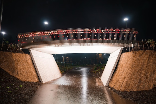 Verlichte voetgangersbrug in Letland ter viering van de Onafhankelijkheidsdag