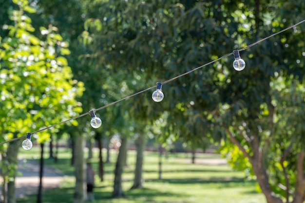 Verlichting landschap lichtpark met elektrische slinger van gloeilampen