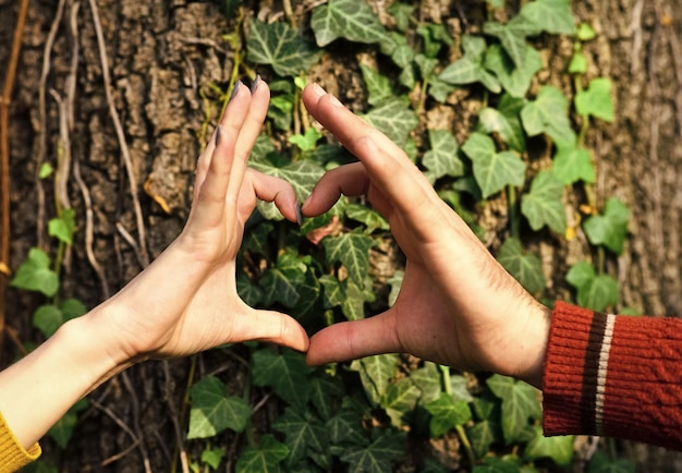 Foto verliefd koppel bij de boom mannen en vrouwen handen