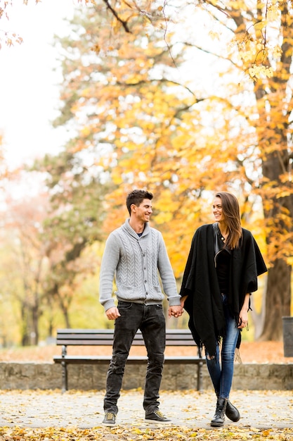 Verliefde paar in het najaar park