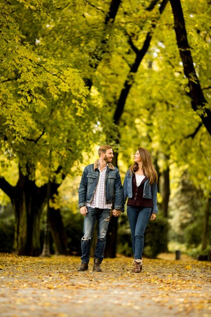 Verliefde paar in het najaar park