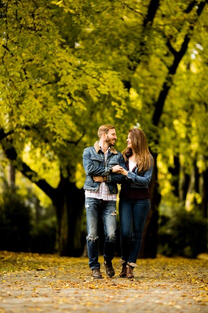 Verliefde paar in het najaar park