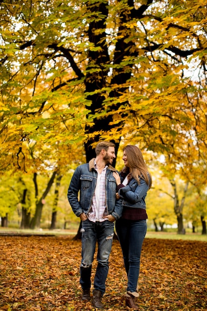 Verliefde paar in het najaar park