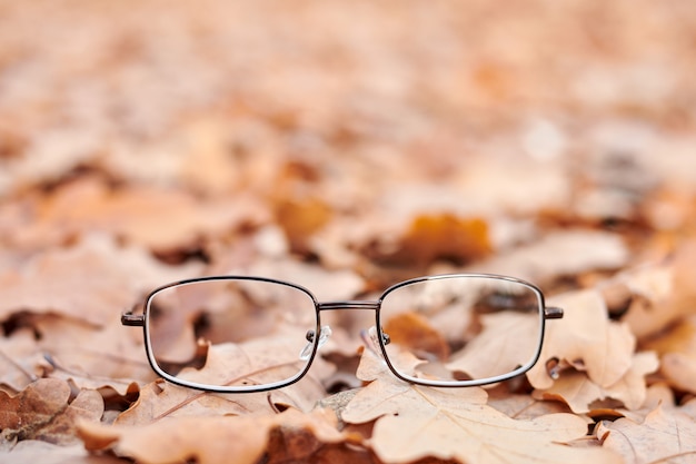 Verloren bril in de herfstbladeren