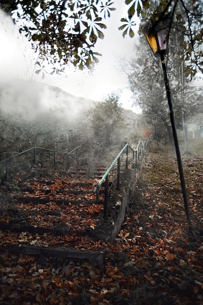 Verloren plaats Verlaten vakantieoord Bladeren op de trap een lantaarnpaal in de mist Vergeten in het bos