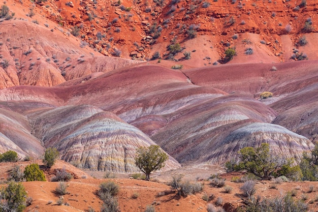 Vermilion Cliffs Nationaal Monument Arizona