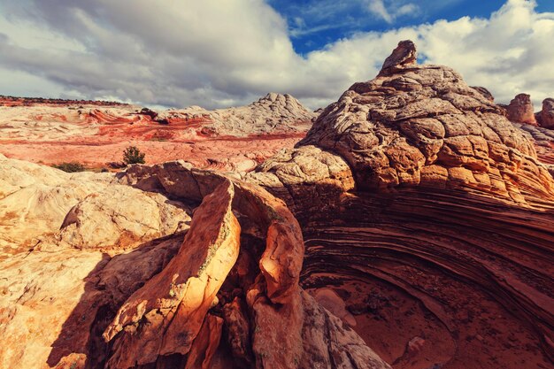 Vermilion Cliffs National Monument Landscapes at sunrise