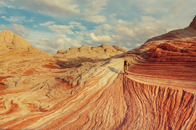 Vermilion Cliffs National Monument Landschappen bij zonsopgang