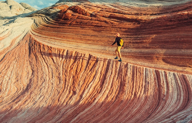 Vermilion Cliffs National Monument Landschappen bij zonsopgang