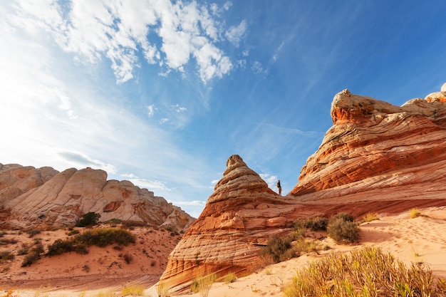 Vermilion Cliffs National Monument Landschappen bij zonsopgang