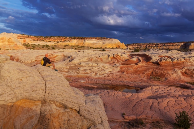 Vermilion Cliffs National Monument Landschappen bij zonsopgang