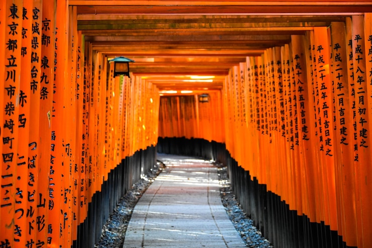 Photo vermillion gates at the fushimi inari shrine kyoto japan