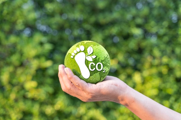 Vermindering van de koolstofvoetafdruk Groene bedrijven uit hernieuwbare energie Verminderde CO2-uitstoot