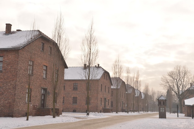 Vernietigingskamp Auschwitz