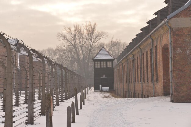 Vernietigingskamp Auschwitz