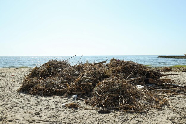 Verontreiniging van het waterlichaam met plastic afval en afval