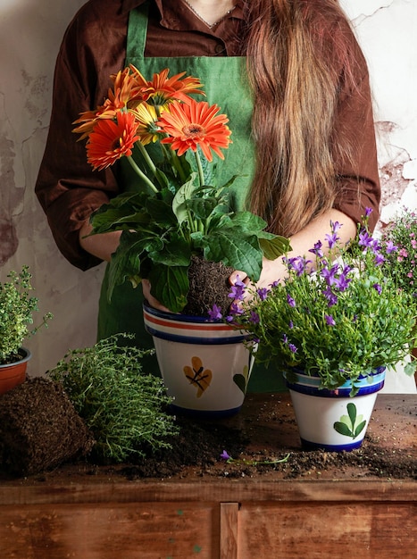 Verplanten van kamer- en tuinplanten in keramische potten tijm boshyacinten gerbera jonge vrouw handen vintage houten concept