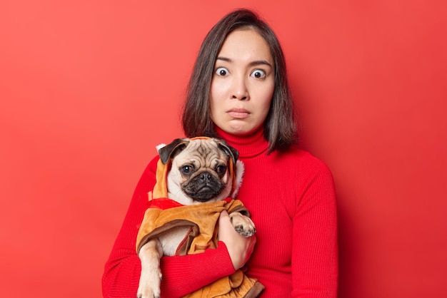 Verrast vrouwelijk model met pug dog gekleed in warme kleding voor dieren zoals wandelen buiten in de winter staart afgeluisterde ogen naar camera geïsoleerd op rode achtergrond. Dieren en hun baasjes