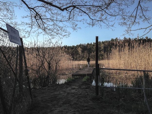 Verre uitzicht op een man die op de promenade tussen planten in het bos staat