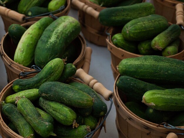 Vers biologisch voedsel op de lokale boerenmarkt. Boerenmarkten zijn een traditionele manier om landbouwproducten te verkopen.