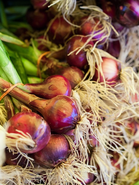 Vers biologisch voedsel op de lokale boerenmarkt. Boerenmarkten zijn een traditionele manier om landbouwproducten te verkopen.