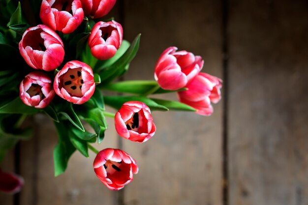 Vers boeket van roze tulpen