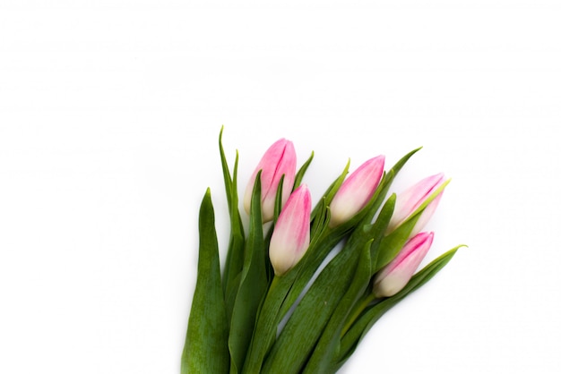 Vers boeket van vijf tulpen Lentebloemen.