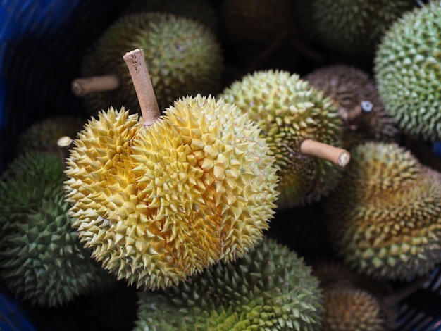 vers durian fruit in de tuin