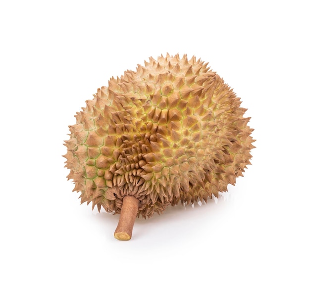 Vers durian fruit met geïsoleerde achtergrond