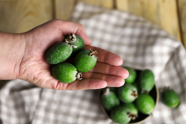 Vers feijoa-fruit ter beschikking