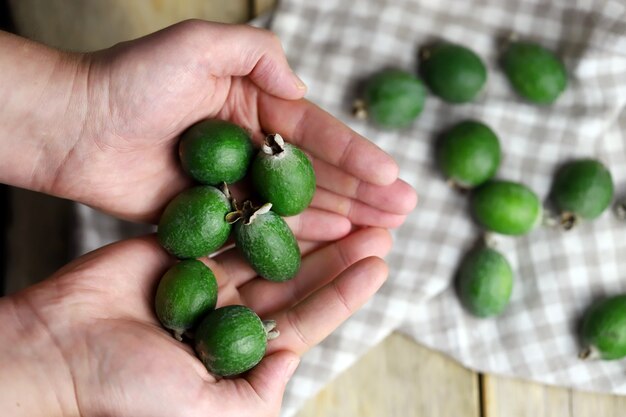 Vers feijoa-fruit ter beschikking