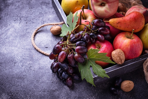 Vers fruit. Appels, peren, druiven en perziken