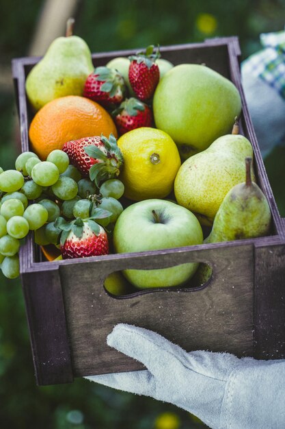 Vers fruit en boer