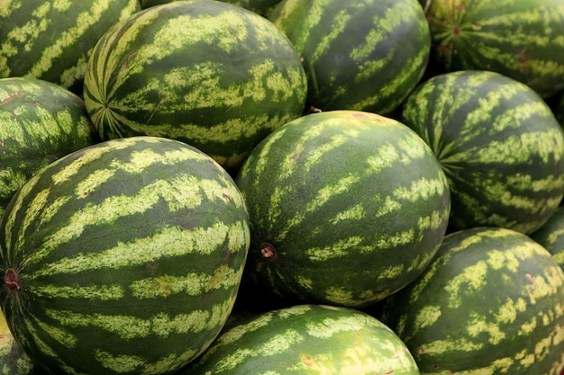 Vers fruit kopen op de markt Close-up van een rijpe watermeloen op de markt op een herfstdag