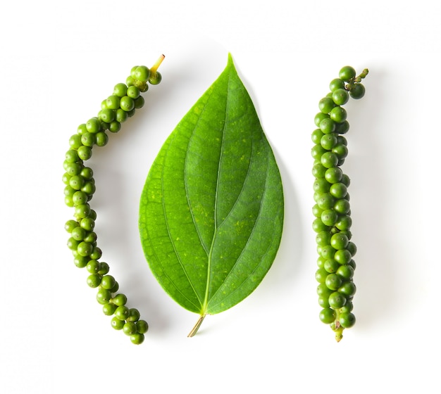 Vers geïsoleerd peper en blad