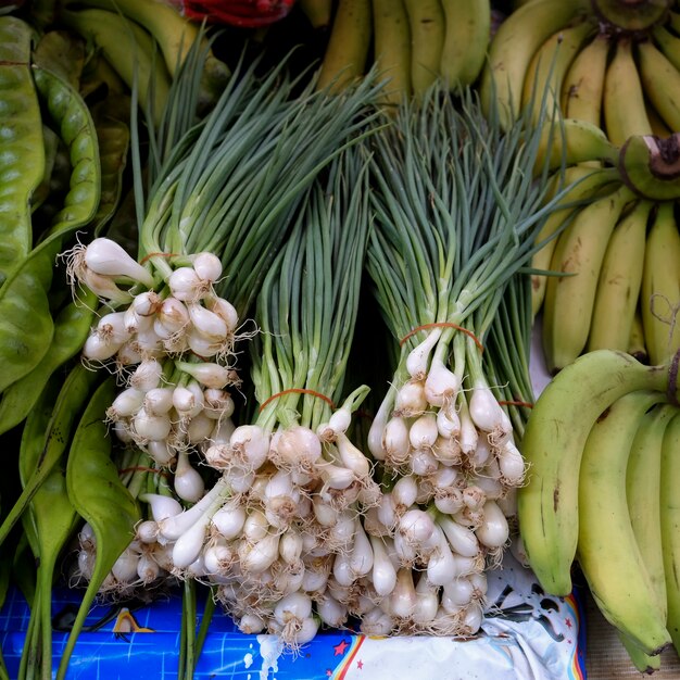 Vers geoogste lente-uitjes klaar om te verkopen op de markt