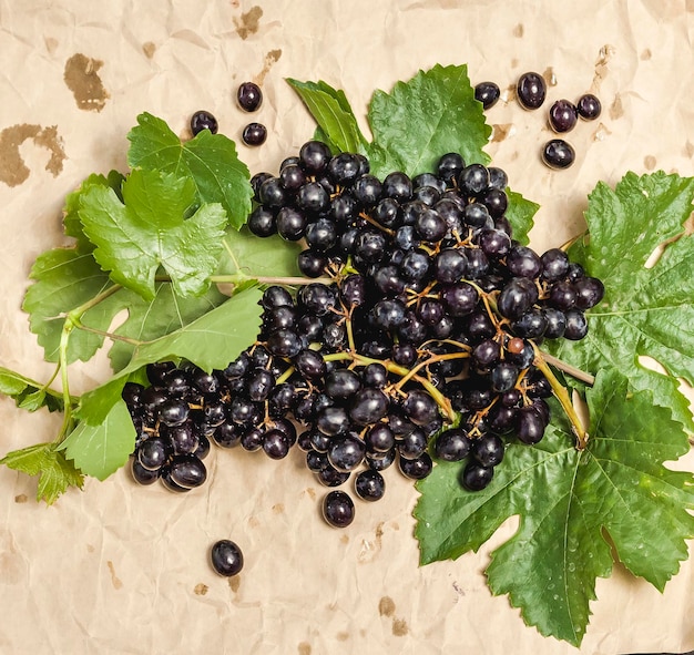 Vers geplukt herfstfruit Zwarte druiven en vijgen op donkere tafel houten tafel