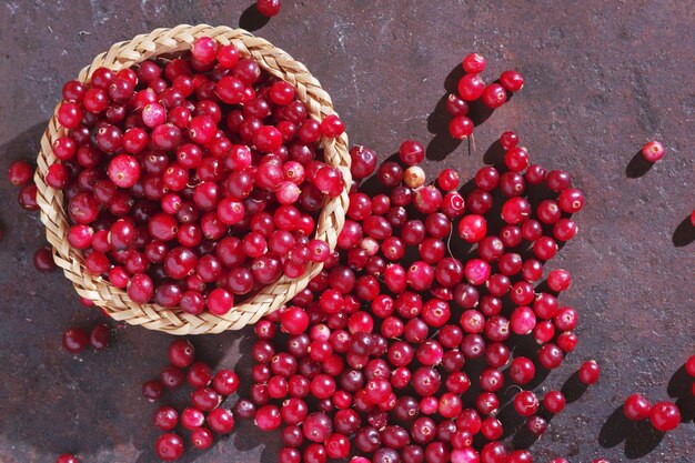 Vers geplukte cranberries